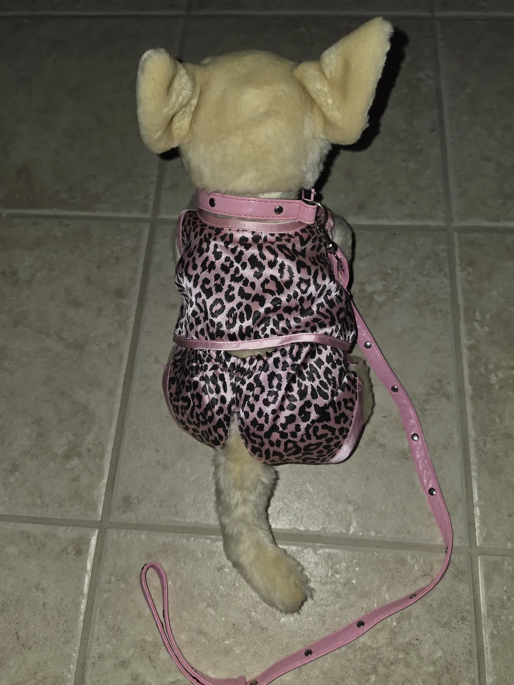 Build-A-Bear Cream Plush Dog  Pink Leash & 2 Pc Outfit $48 EUC